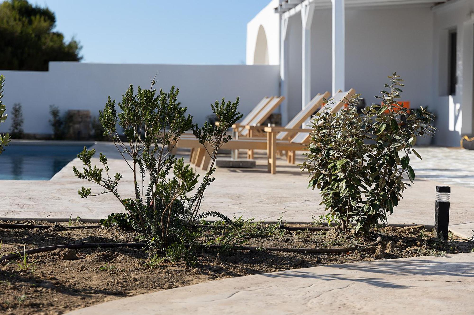White Pearl Villa Naxos With Private Swimming Pool Naxos City 外观 照片