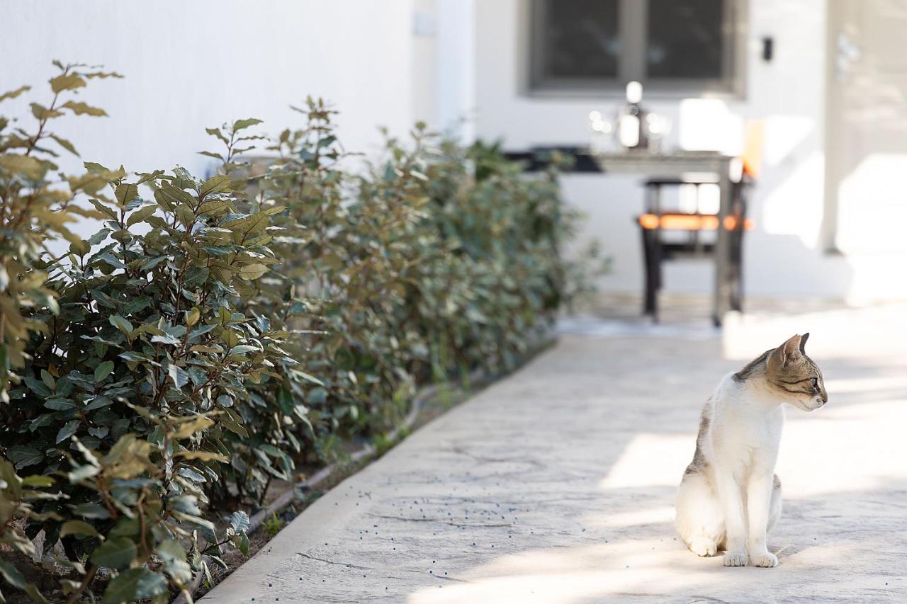 White Pearl Villa Naxos With Private Swimming Pool Naxos City 外观 照片