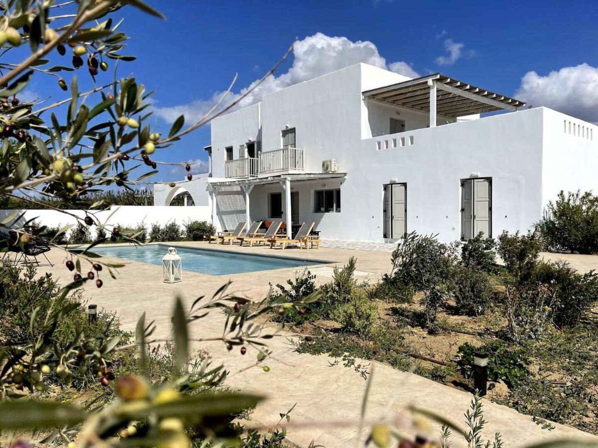 White Pearl Villa Naxos With Private Swimming Pool Naxos City 外观 照片