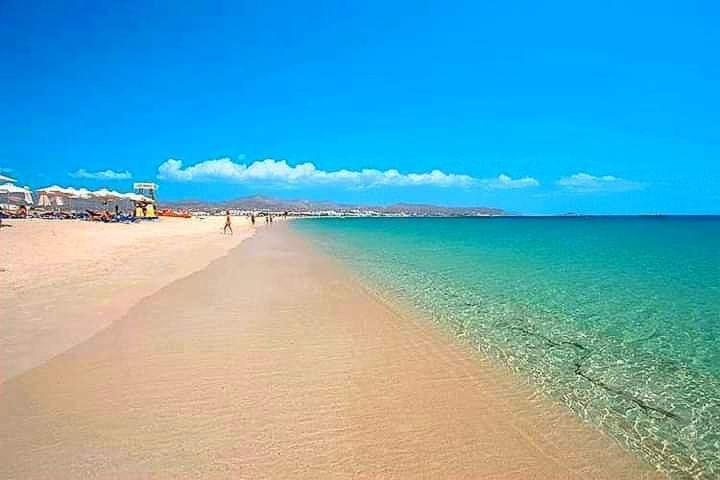 White Pearl Villa Naxos With Private Swimming Pool Naxos City 外观 照片